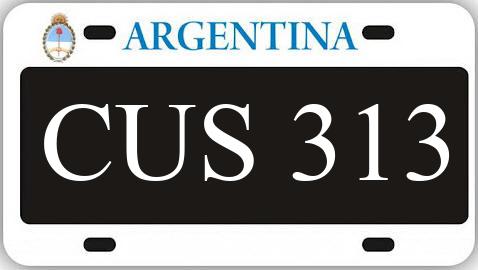 Patente CUS313