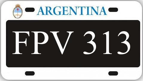 Patente FPV313
