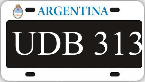Patente UDB313