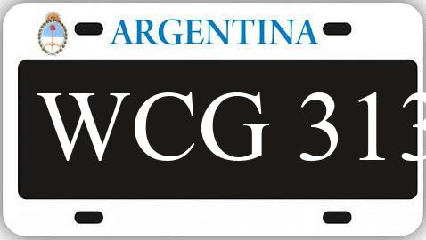 Patente WCG313