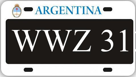 Patente WWZ313