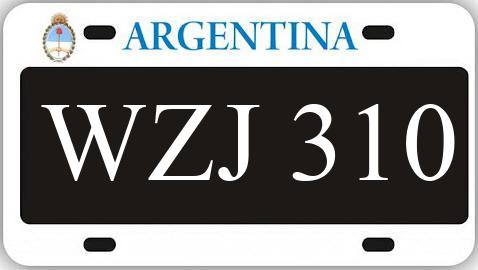 Patente WZJ310
