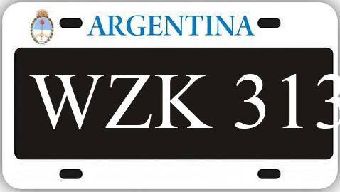 Patente WZK313