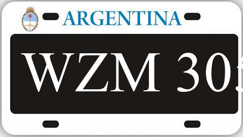 Patente WZM305