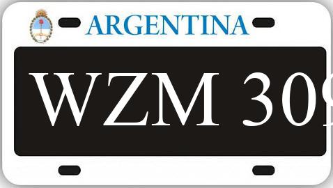 Patente WZM309