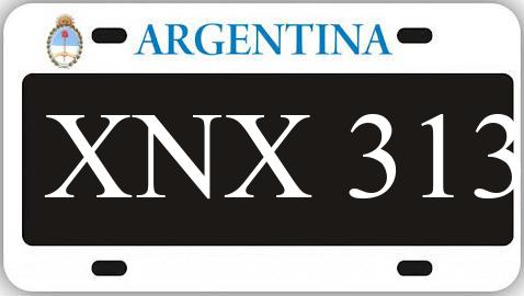 Patente XNX313